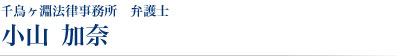 千鳥ヶ淵法律事務所　弁護士 小山 加奈 
